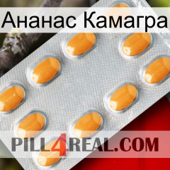 Ананас Камагра cialis3